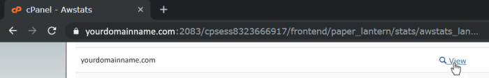 CPanel View Awstats