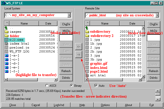 Functions Window with Computer Files and Site Files