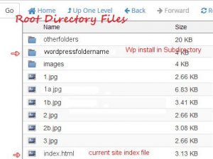 Your WordPress site installed in a Subdirectory