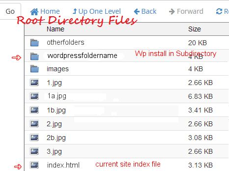 Your WordPress site installed in a Subdirectory