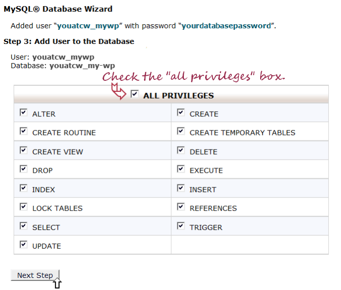 MySQL database wizard