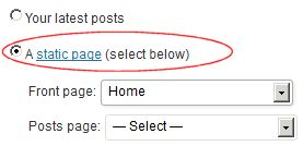 Set Static Page Set Static Page